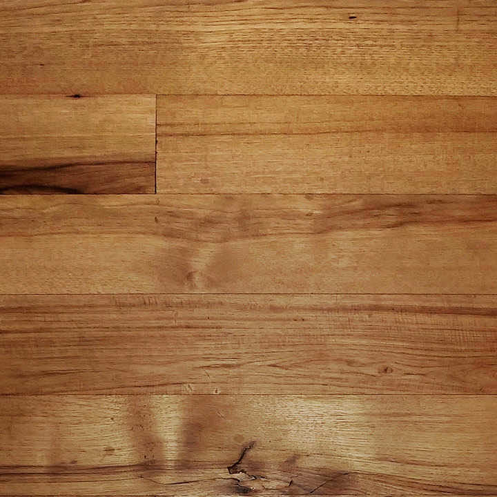 Hickory