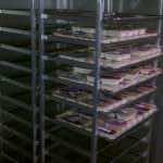 Meal on Wheels distribution space